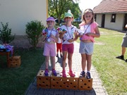 Májový běh pro zdraví